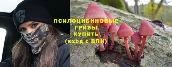ECSTASY Алексин